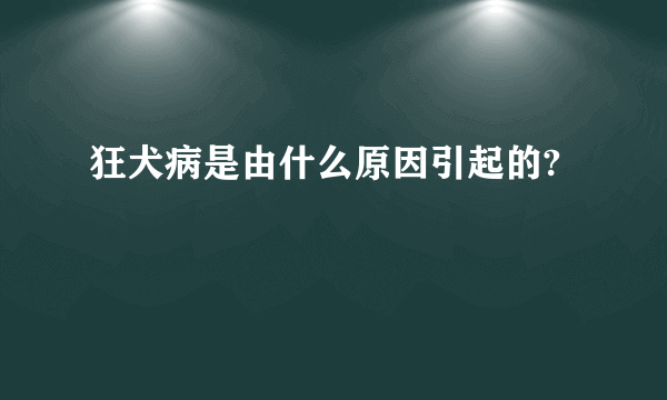 狂犬病是由什么原因引起的?