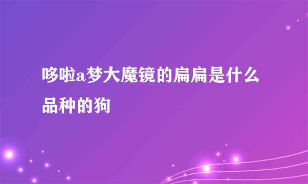 哆啦a梦大魔镜的扁扁是什么品种的狗