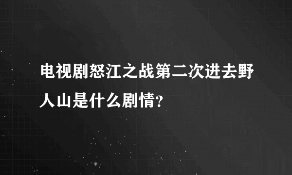 电视剧怒江之战第二次进去野人山是什么剧情？