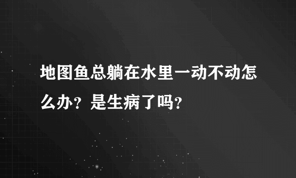 地图鱼总躺在水里一动不动怎么办？是生病了吗？