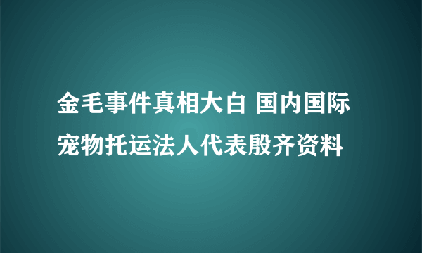 金毛事件真相大白 国内国际宠物托运法人代表殷齐资料