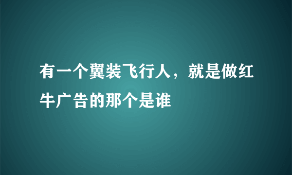 有一个翼装飞行人，就是做红牛广告的那个是谁