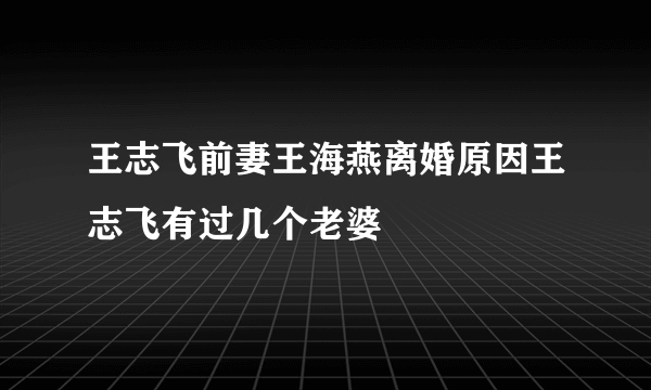 王志飞前妻王海燕离婚原因王志飞有过几个老婆