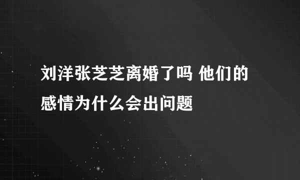 刘洋张芝芝离婚了吗 他们的感情为什么会出问题