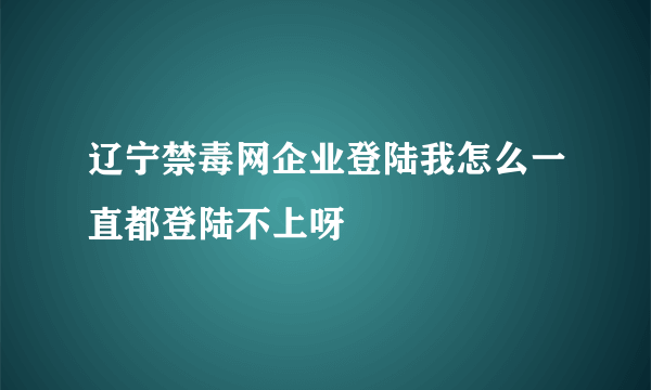 辽宁禁毒网企业登陆我怎么一直都登陆不上呀