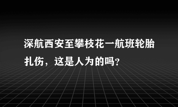 深航西安至攀枝花一航班轮胎扎伤，这是人为的吗？