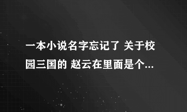 一本小说名字忘记了 关于校园三国的 赵云在里面是个流氓混混