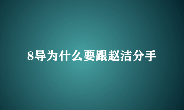 8导为什么要跟赵洁分手