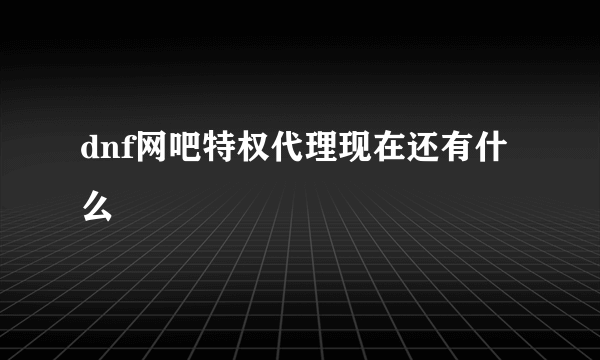 dnf网吧特权代理现在还有什么