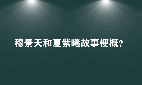 穆景天和夏紫曦故事梗概？