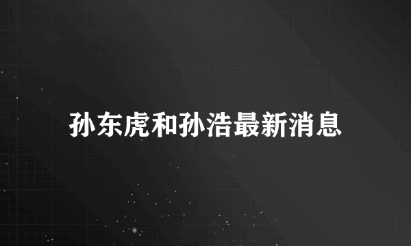 孙东虎和孙浩最新消息