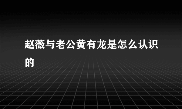 赵薇与老公黄有龙是怎么认识的