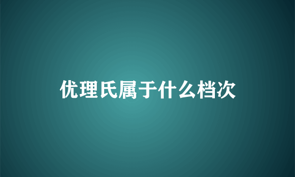 优理氏属于什么档次