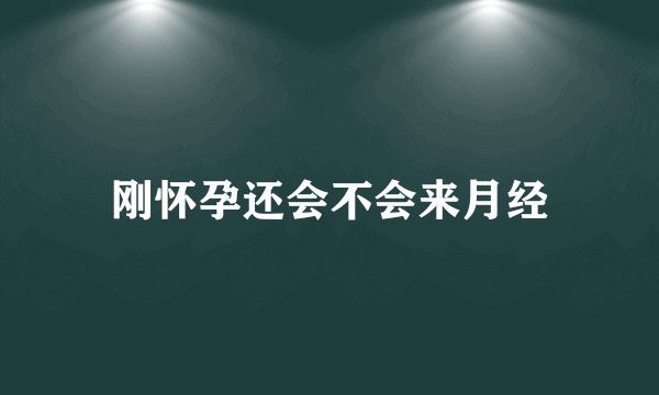 刚怀孕还会不会来月经