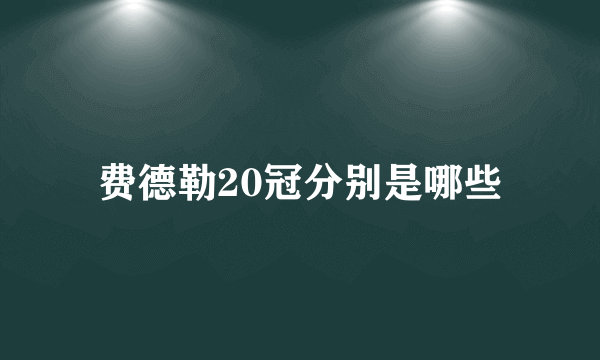 费德勒20冠分别是哪些