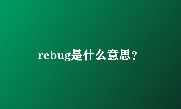 rebug是什么意思？