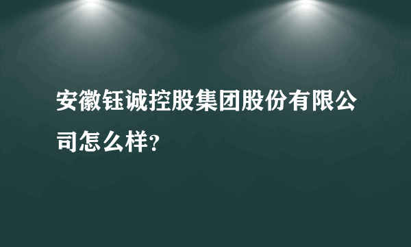 安徽钰诚控股集团股份有限公司怎么样？