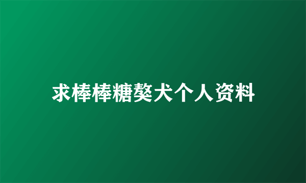 求棒棒糖獒犬个人资料