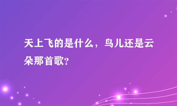 天上飞的是什么，鸟儿还是云朵那首歌？