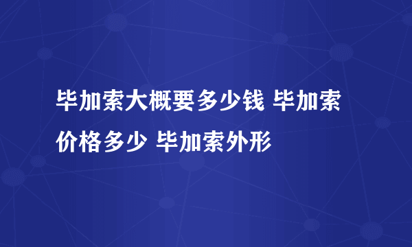 毕加索大概要多少钱 毕加索价格多少 毕加索外形