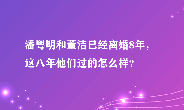 潘粤明和董洁已经离婚8年，这八年他们过的怎么样？