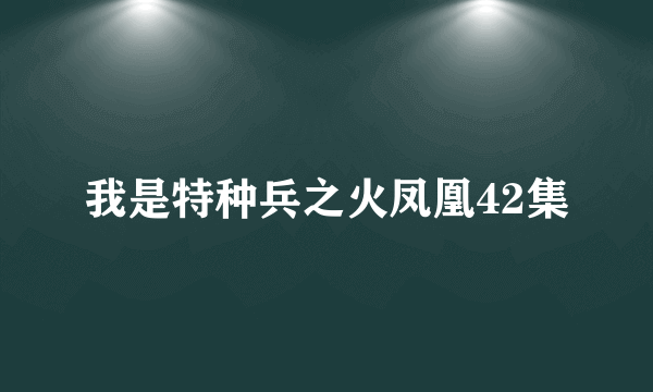 我是特种兵之火凤凰42集