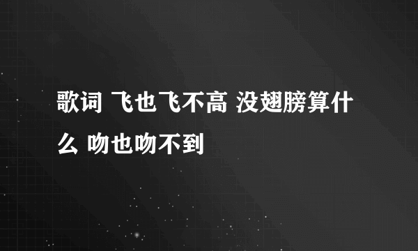 歌词 飞也飞不高 没翅膀算什么 吻也吻不到