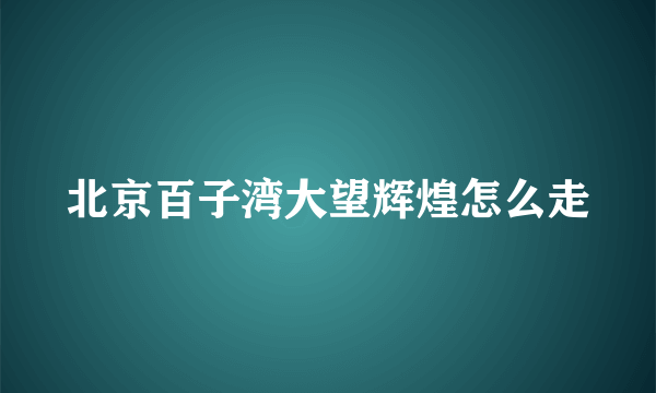 北京百子湾大望辉煌怎么走