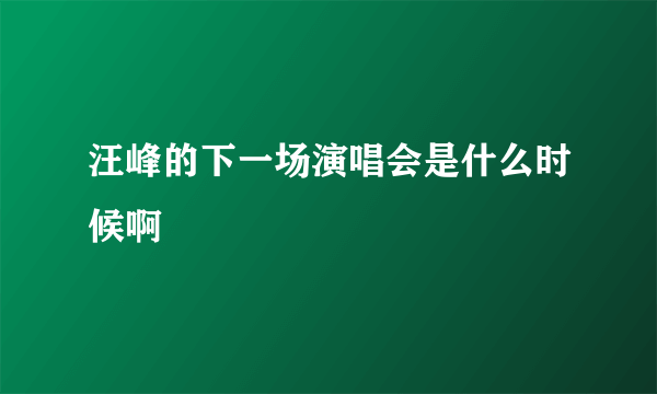 汪峰的下一场演唱会是什么时候啊