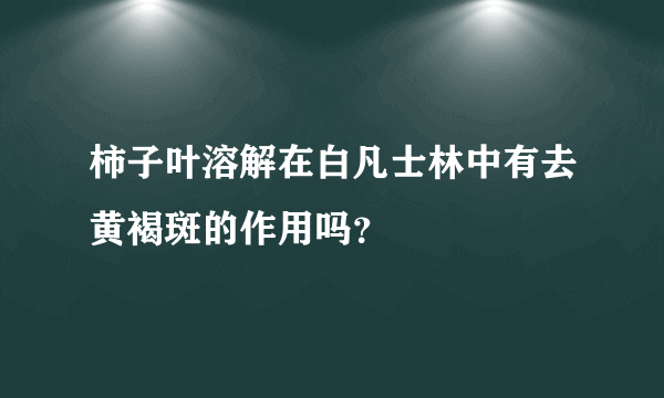 柿子叶溶解在白凡士林中有去黄褐斑的作用吗？