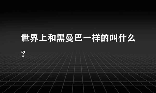 世界上和黑曼巴一样的叫什么？