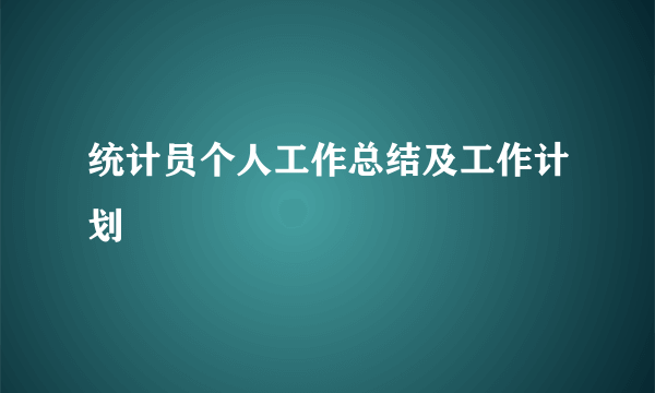 统计员个人工作总结及工作计划