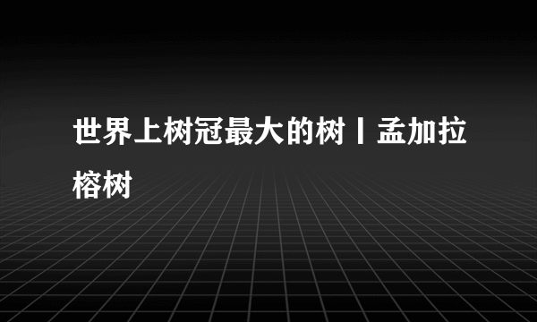 世界上树冠最大的树丨孟加拉榕树