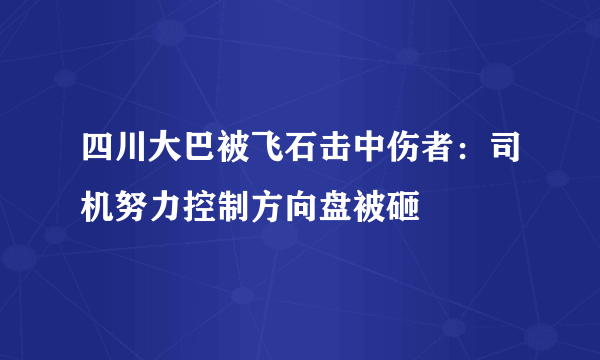 四川大巴被飞石击中伤者：司机努力控制方向盘被砸