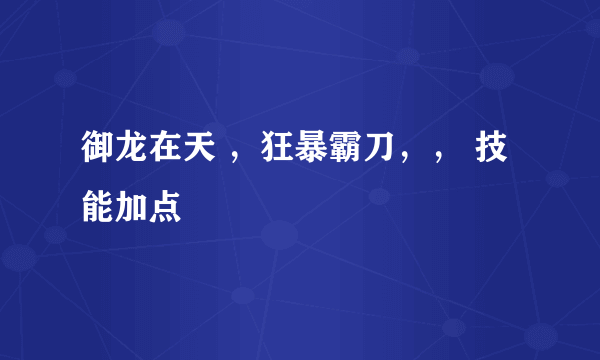 御龙在天 ，狂暴霸刀，， 技能加点