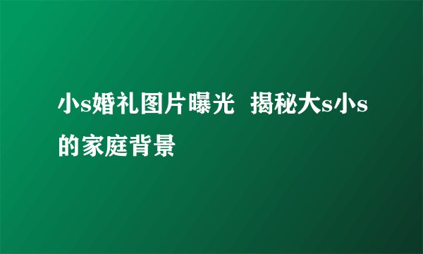 小s婚礼图片曝光  揭秘大s小s的家庭背景