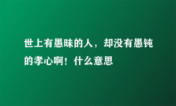 世上有愚昧的人，却没有愚钝的孝心啊！什么意思