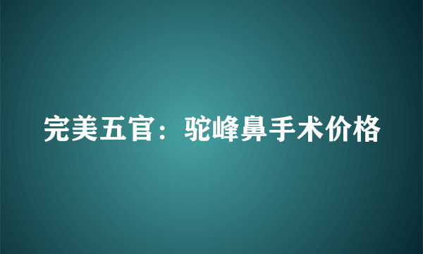 完美五官：驼峰鼻手术价格