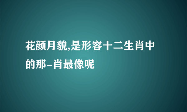 花颜月貌,是形容十二生肖中的那-肖最像呢