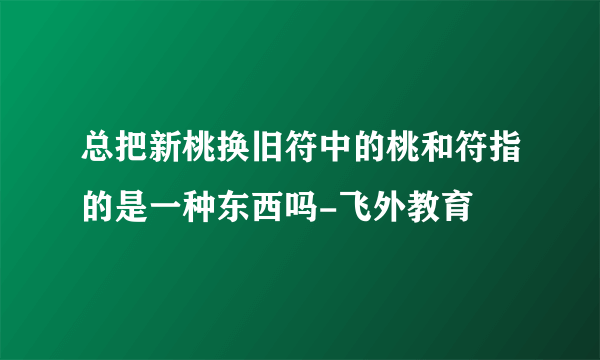 总把新桃换旧符中的桃和符指的是一种东西吗-飞外教育