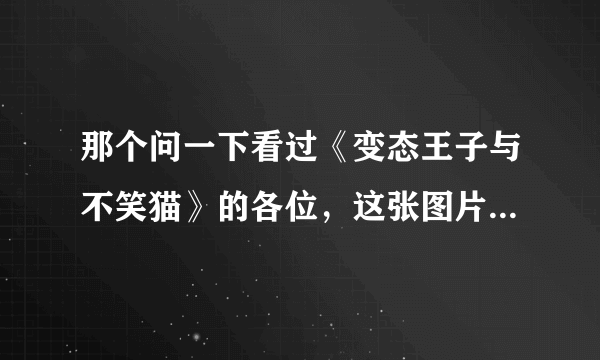 那个问一下看过《变态王子与不笑猫》的各位，这张图片是第几集啊