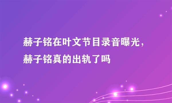 赫子铭在叶文节目录音曝光，赫子铭真的出轨了吗