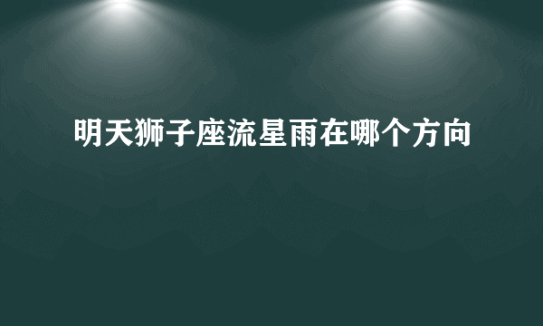 明天狮子座流星雨在哪个方向