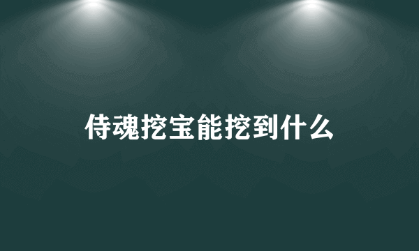 侍魂挖宝能挖到什么