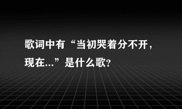 歌词中有“当初哭着分不开，现在...”是什么歌？