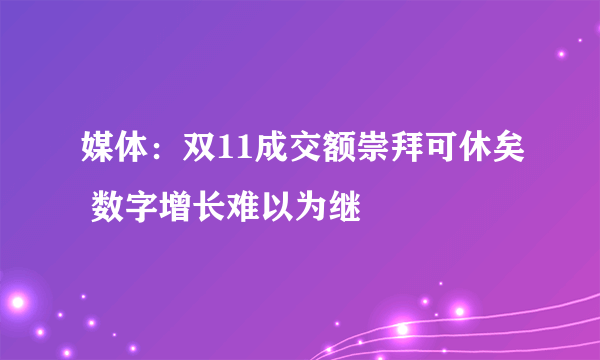 媒体：双11成交额崇拜可休矣 数字增长难以为继