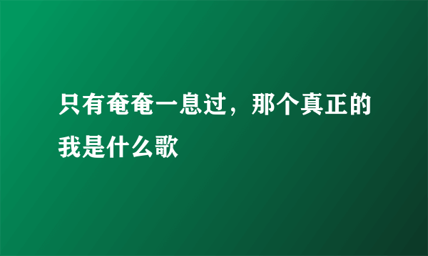 只有奄奄一息过，那个真正的我是什么歌