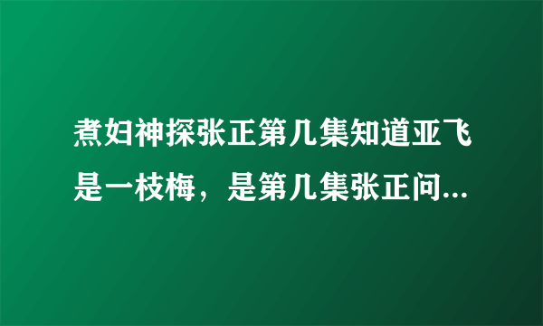 煮妇神探张正第几集知道亚飞是一枝梅，是第几集张正问亚飞的？