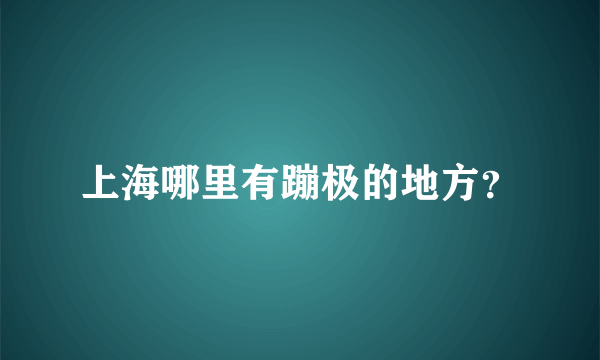 上海哪里有蹦极的地方？