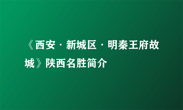 《西安·新城区·明秦王府故城》陕西名胜简介